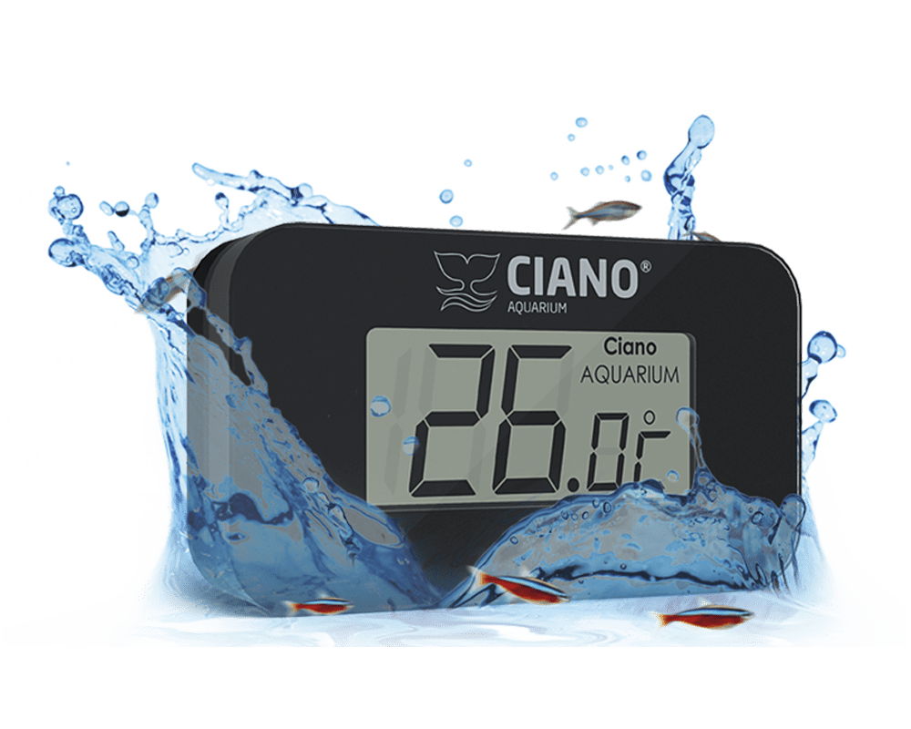 Thermometer CFBIO - Ciano