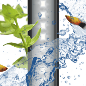 Ciano CF40 Lot de 2 cartouches de filtre anti-algues pour aquarium de  format SM : : Animalerie