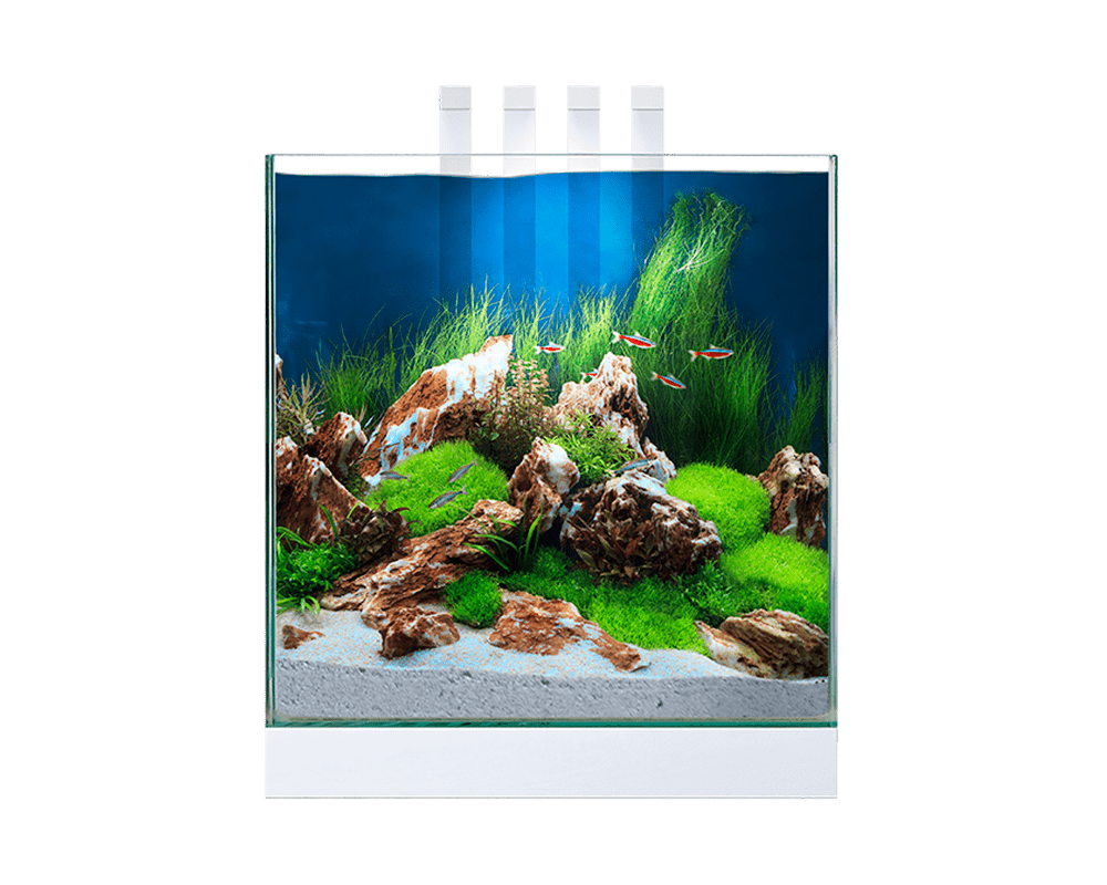 Aquarium Nexus Pure 25 - Ciano Aquarium
