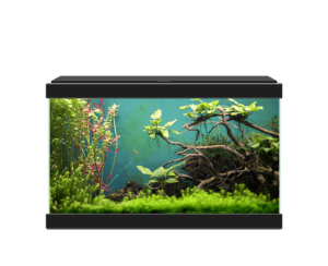 Ciano - Aquarium Classic Noir + Filtre CF40 - 20L