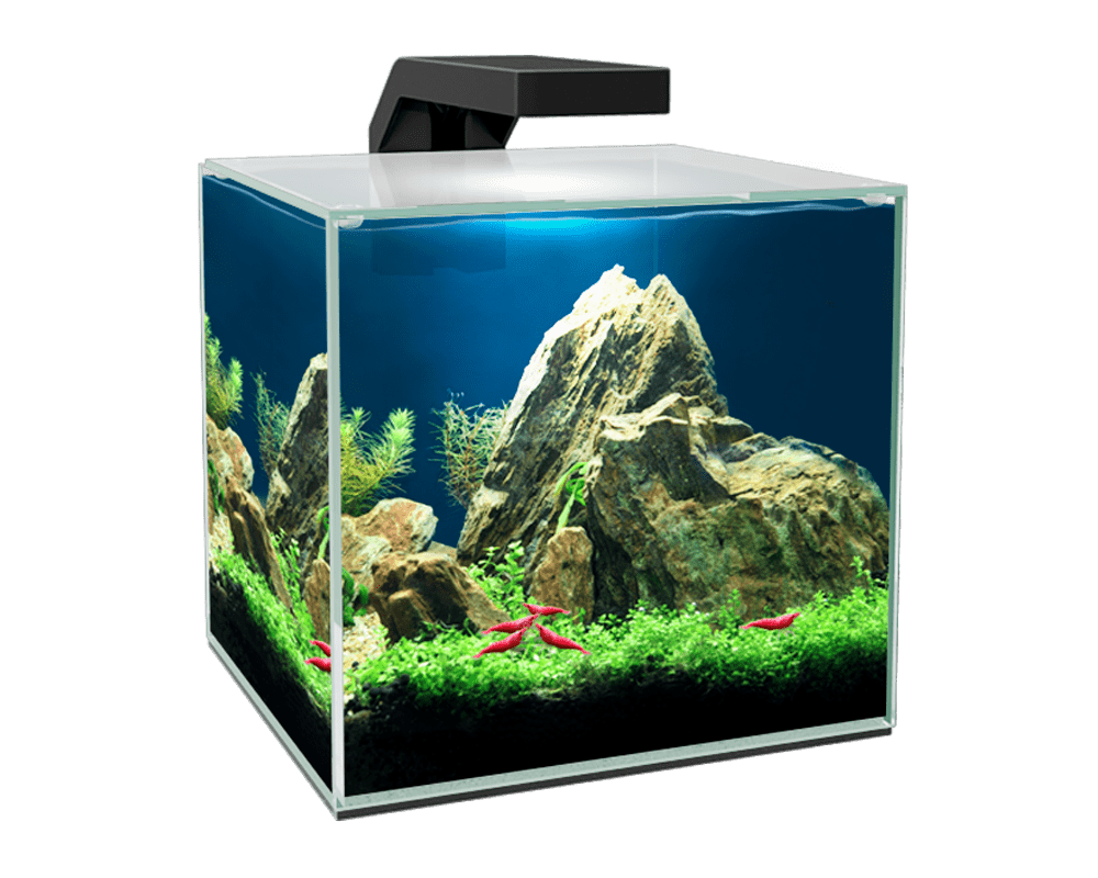 Aquarium Cube 10 - Ciano Aquarium