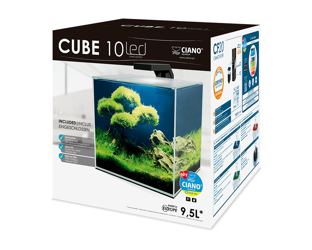 Cube 10