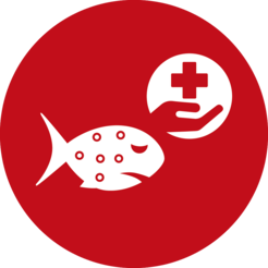 Tratamento Peixes Ciano Care
