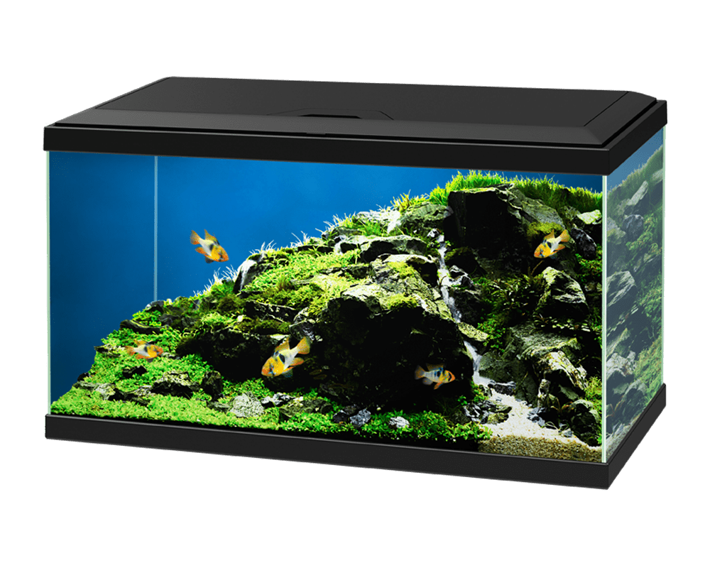 Aquarium Aqua 60 Black - Ciano Aquarium
