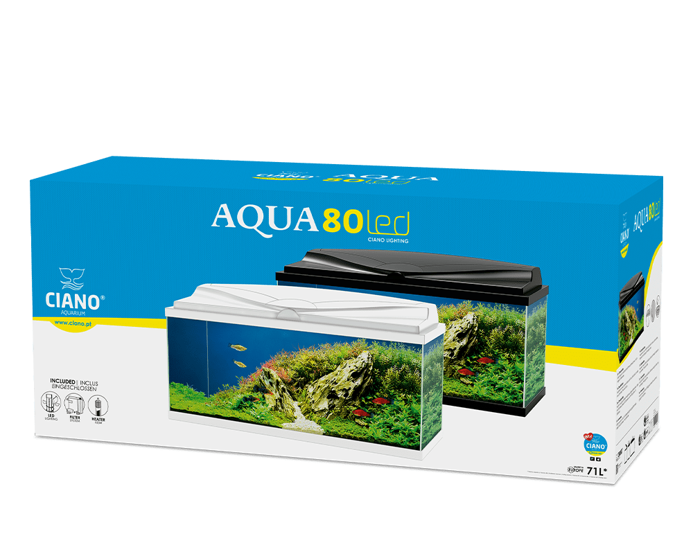 Aquarium Aqua 80 - Ciano Aquarium