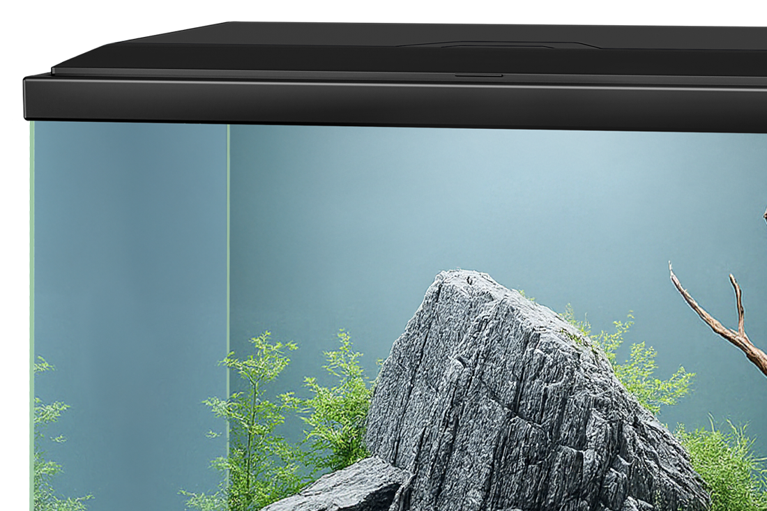 AQUA30_1100x733_char